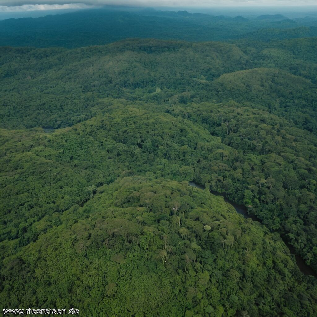Typisch gabunisch – Das macht das Land aus: Regenwälder, Biodiversität, traditionelle Strukturen